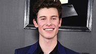 Shawn Mendes Poses in His Underwear for New Calvin Klein Modeling ...