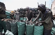 UN: Kenyan Peacekeepers Aided Illegal Somalia Charcoal Export