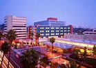 CHILDREN'S HOSPITAL LOS ANGELES — USC/LAC+USC Neonatal-Perinatal ...