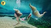 Real Life Mermaid Footage Reality Of Mermaids Explained Must Watch End ...