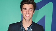 Shawn Mendes and His Mom Get Adorable Matching Tattoos -- See the Sweet ...