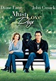 Must Love Dogs (2005) | Kaleidescape Movie Store