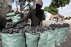 Iran and UAE complicit in illegal charcoal trade with Somali militants ...