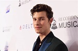 Shawn Mendes Answers Some Questions Fans Are Dying To Know About Him