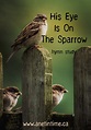 His Eye is On the Sparrow - A Net in Time