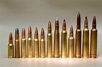 Rifle Calibers Explained: A Guide to Caliber Sizes - Gun News Daily