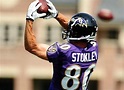 Baltimore Ravens receiver Brandon Stokley impresses in first practice