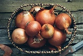 15 Types of Onions That Store Well