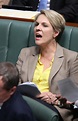 Deputy opposition leader Tanya Plibersek says Tony Abbott is ...