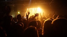 Free Images : music, light, crowd, audience, dance, stage, hands ...