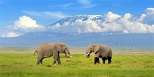 Best Time To Visit Kenya: Advice From the Safari Experts - Southern ...