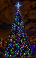 “Light Up Night” Tree Lighting, Christmas Parade & Holly Jolly First ...