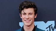 Watch Access Hollywood Interview: Shawn Mendes Helped His Personal ...