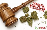 What is Cannabis Legalization Status in Maryland — GHouse DC