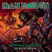 Iron Maiden - From Fear To Eternity - Best Of 1990-2010 [LP] (3vinyl ...