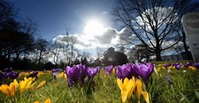 Balmy weather set to see 15C temperatures over the weekend - Birmingham ...