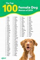 Top 100 Most Popular Dog Names in 2022 | Rover.com | Puppies names ...