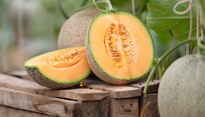 Professional Faqs: Is Cantaloupe Good For Diabetes?