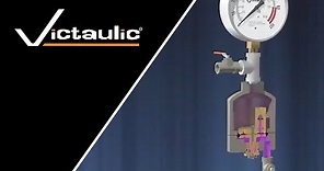 Victaulic Series 746-LPA Dry Accelerator