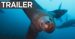 Blue Planet II Official Trailer 2 | BBC Earth