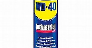 WD-40 100164 Multi-Use Product Spray Industrial Size 16 oz. (Pack of 1)