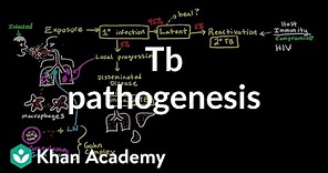 TB pathogenesis | Infectious diseases | NCLEX-RN | Khan Academy