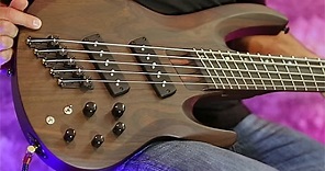 Review Demo - ESP LTD B-1005SE 5-String Bass