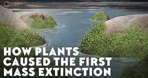 How Plants Caused the First Mass Extinction