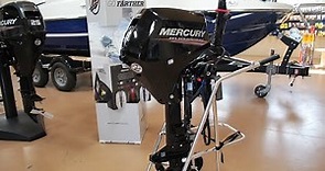 Mercury 2020 15HP EH (4-stroke EFI)