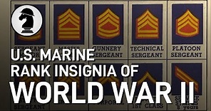 U.S. Marine Rank Insignia of WW2