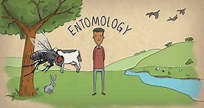 What is an entomologist?
