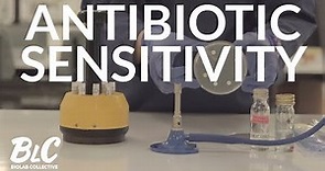 Antibiotic Testing - defeat superbugs