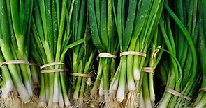 How to grow scallions in water, because we know you re considering it