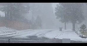 First snow of the season falls in Flagstaff, Arizona