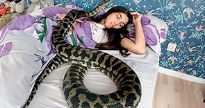 Woman Sleeps With Snake Every Night, Until Doctor Shows Her What s Inside