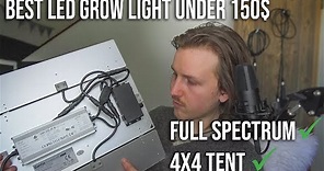 LED Barrina full spectrum grow light 4x4 Review! under 150$