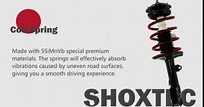 Shoxtec Front Pair Complete Struts Assembly Replacement for 2009-2010 Pontiac Vibe 2009-2010 Toyota Matrix Coil Spring Shock Absorber Repl. part no 272598 272597