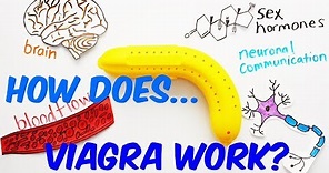 How Does Viagra Work?