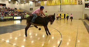 Featured Game: Donkey Basketball