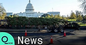 2020 Capitol Christmas Tree Arrives in Washington, D.C. from Colorado