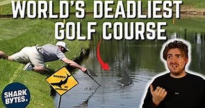 The BIZARRE Story of the Golf Course BULL SHARKS!