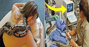 Woman Sleeps With Snake Every Night, Until Doctor Shows Her What s Inside