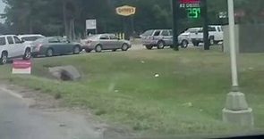 Long lines seen at gas stations in Florida and other southeastern states