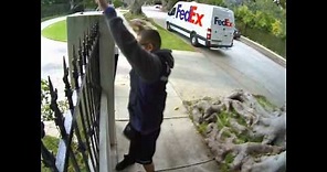 FedEx Guy Throwing My Computer Monitor