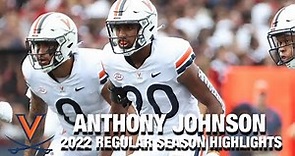Anthony Johnson 2022 Regular Season Highlights | Virginia DB