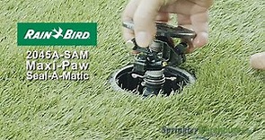 Rain Bird 2045A-SAM Maxi-Paw Pop-up Impact Rotor