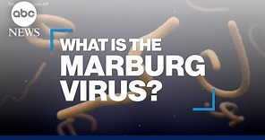 What is the Marburg virus disease?