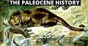 The Evolution Of The Paleocene Era