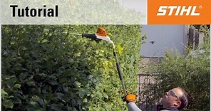Cordless long-reach hedge trimmer cutting technique: overhead cutting with an angled cutter bar