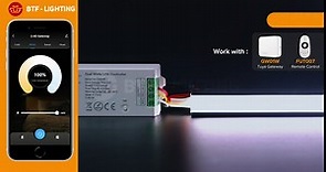 BTF-LIGHTING C02RF LED Controller Support PWM 5050SMD FCOB COB CCT(+ CW WW) 3pin LED Strip Tunable Color Temperature LED Compatible with WR02RF RC02RF Remote DC5V/DC12V/DC24V Max 12A Indoor Use Only